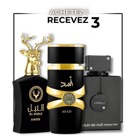 Pack Trio Parfums Arabes pour Homme – Nuit Intense | Assad | Noble Essence
